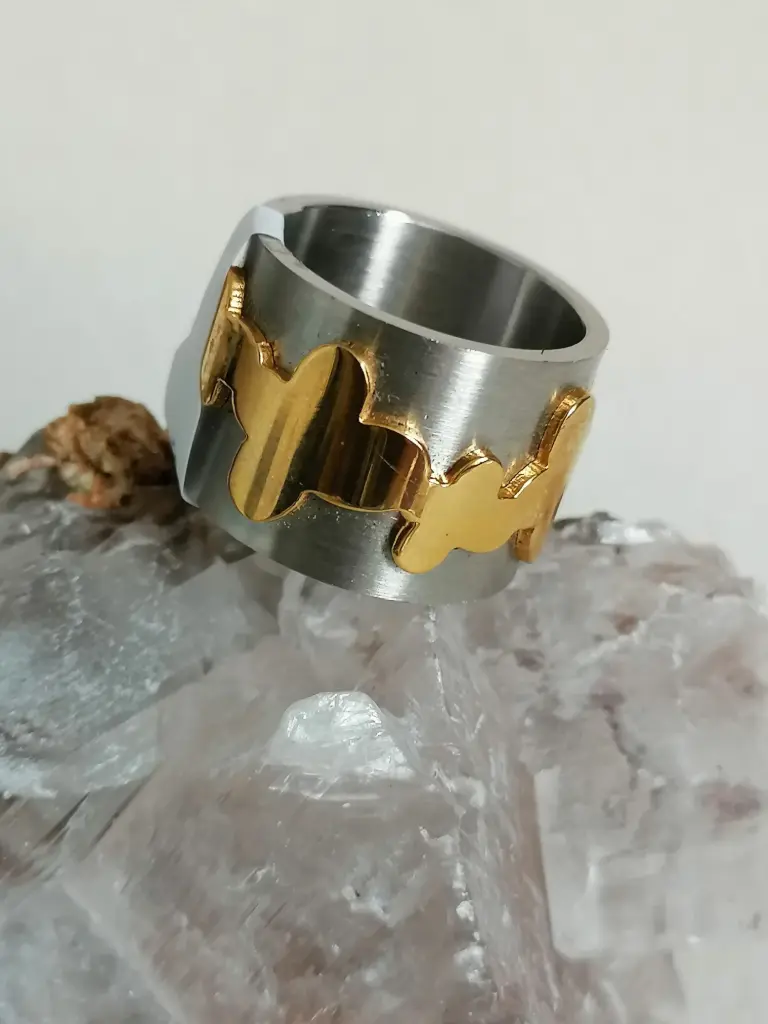 Anillo acero con dorado | Joyería Eterea