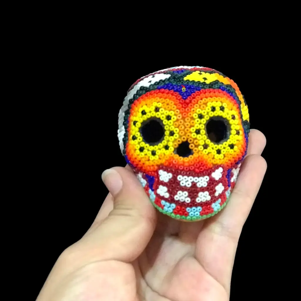 Craneo CH | AleyaHuichol