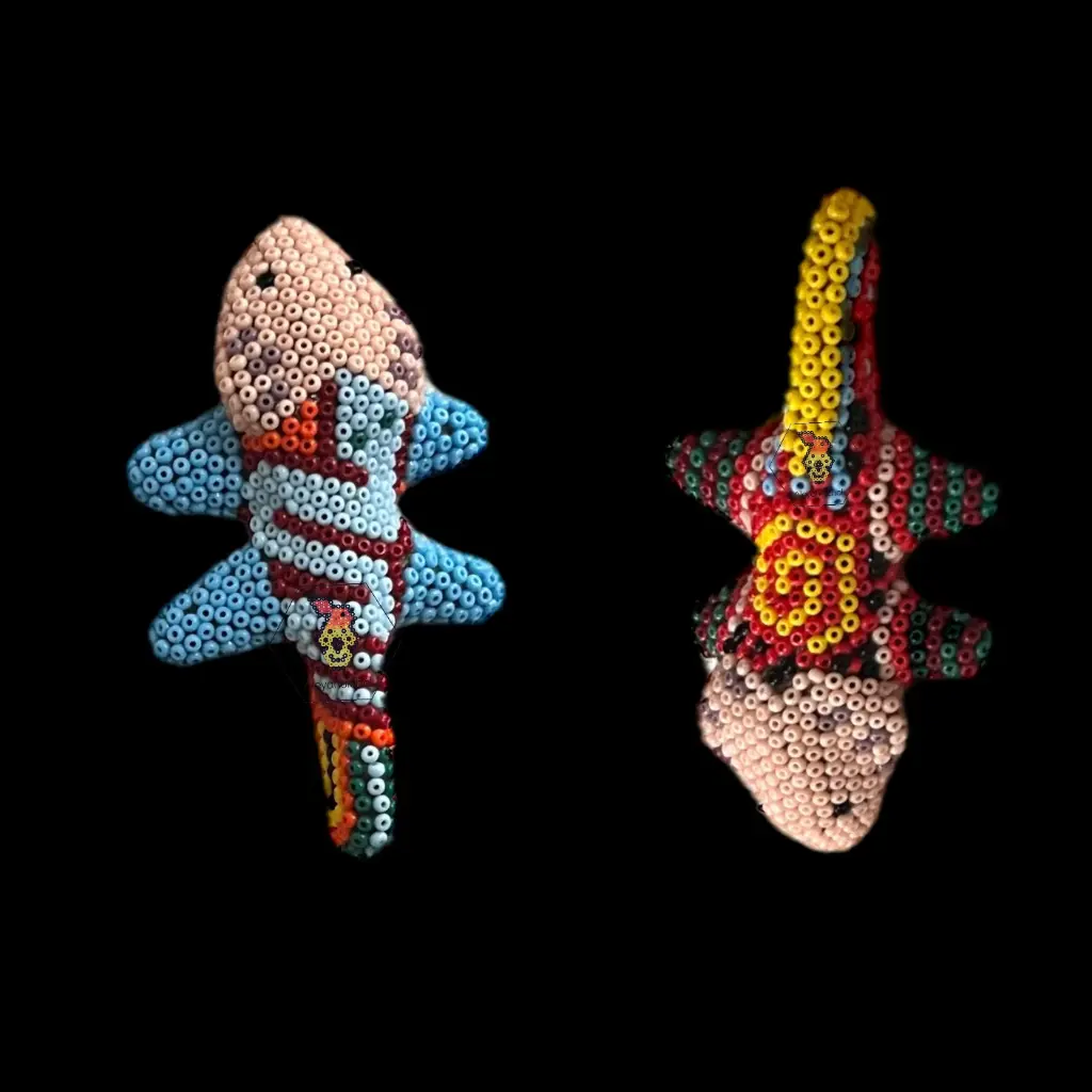 Ajolote CH | AleyaHuichol