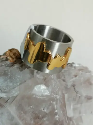 Anillo acero con dorado | Joyería Eterea